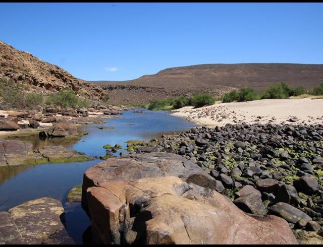 328HA FARM FOR SALE IN CLANWILLIAM RURAL